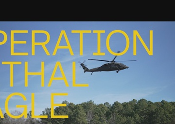 Air Assault for OLE 26.1