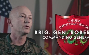 Crisis to Kinetic: 3d MEB Answers the Call