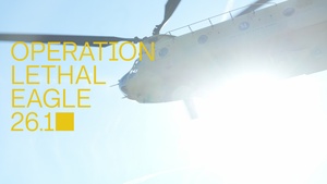 101st conducts Operation Lethal Eagle 26.1
