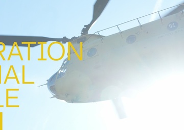 101st conducts Operation Lethal Eagle 26.1