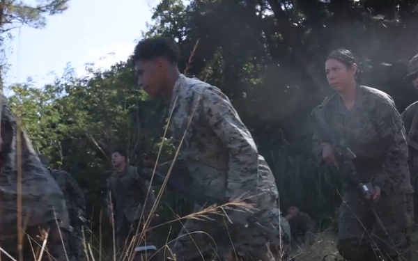 U.S. Marines with 12th LCT and 1st MAW Participate in an Aerial Support Rehearsal B-Roll
