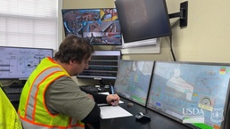 Forest power: woodchips to electricity