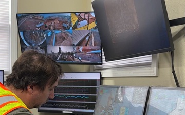 Forest power: woodchips to electricity