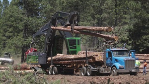Timber Harvest and Chipping