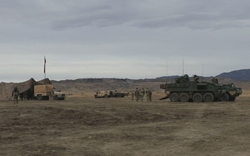 Ivy Sting 4: Live-Fire Exercise