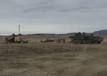 Ivy Sting 4: Live-Fire Exercise