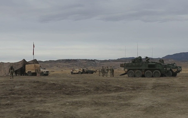 Ivy Sting 4: Live-Fire Exercise