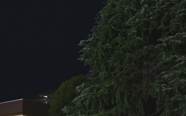 Yokota Winter Festival &amp; Tree Lighting 2025 (B-ROLL)