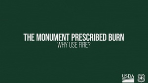 Monument Fire Center Prescribed Fire on the Pikes Peak Ranger District