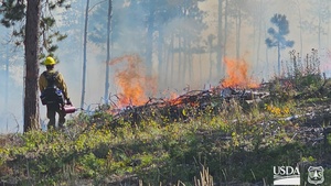 Monument Fire Center Prescribed Fire on the Pikes Peak Ranger District