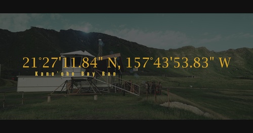 The Science of Violence