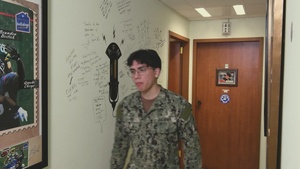 Don't Feed the Strays