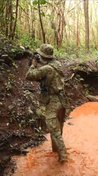 1SFG(A) Unit Highlight