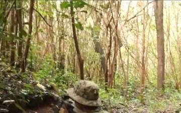 1SFG(A) Unit Highlight