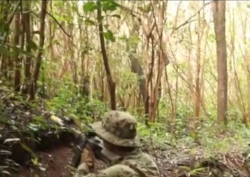 1SFG(A) Unit Highlight