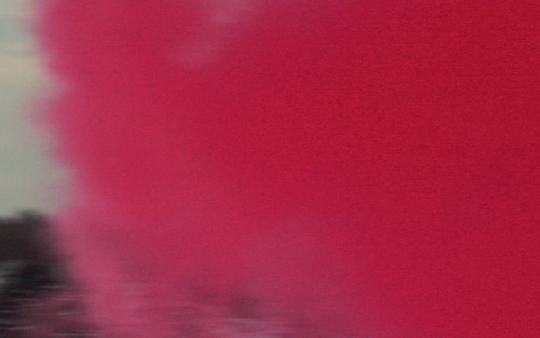 1-153rd Cavalry Regiment sharpens MEDEVAC readiness at Joint Multinational Readiness Center rotation