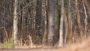 Panther Avalanche: Day Live Fire Exercise BRoll