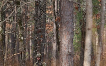 Panther Avalanche: Day Live Fire Exercise BRoll