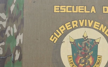 Machete Training Enhances Jungle Survival Capabilities