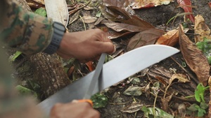 Machete Training Enhances Jungle Survival Capabilities