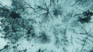 Michigan National Guard trains in arctic conditions during Northern Strike 26-1