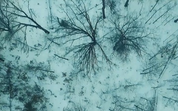 Michigan National Guard trains in arctic conditions during Northern Strike 26-1