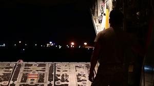 Exercise Palmetto Reach: 317th Airlift Wing demonstrate Air Force global power projection