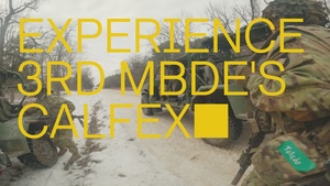 Experience 3rd MBDE, 101st Airborne Division (Air Assault) CALFEX