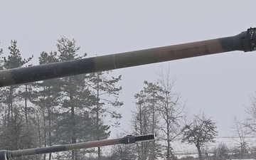 Dynamic Front 26, Italian artillery