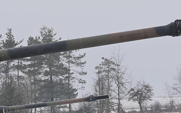 Dynamic Front 26, Italian artillery