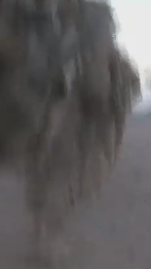 Flashback Friday: Operation Strike of the Sword