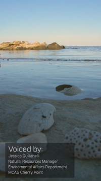 Chronolog stations at MCAS Cherry Point