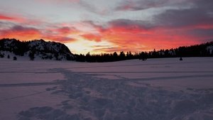 B-Roll: 2nd Bn., 4th Marines learn mountain survival skills during MTX 1-26