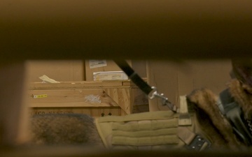 Military Working Dog Scent Detection Training at Ramstein B-Roll