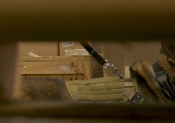 Military Working Dog Scent Detection Training at Ramstein B-Roll