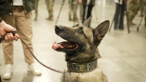 Military Working Dog Flex Retires
