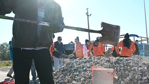 Mission resilience through partnership: The MacDill Living Shoreline Project