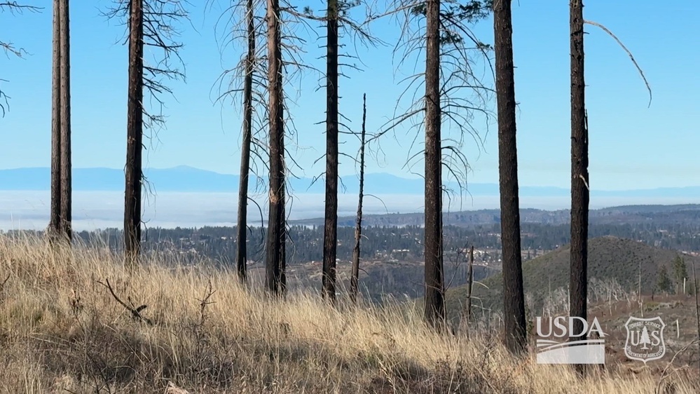 DVIDS - Video - Post-wildfire restoration in the 2018 Camp Fire area on ...