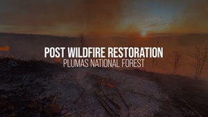 Post-Wildfire Restoration in the 2018 Camp Fire Area