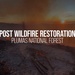 Post-Wildfire Restoration in the 2018 Camp Fire Area