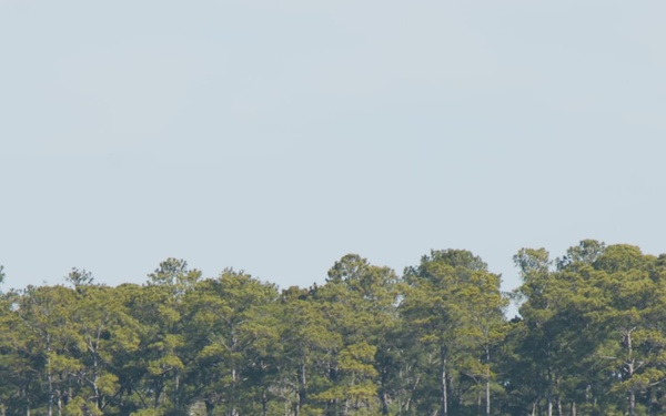 U.S. Marines with VMFA-542 and VMFA-251 conduct marittime strike training
