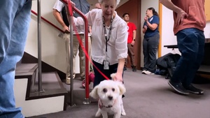 Therapy Dogs and Good Vibes: JED Coffee and Dog Cuddles Event