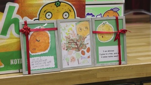 Mikan Presentation, Marine Corps Air Station Iwakuni, Japan 2026 (B-Roll)