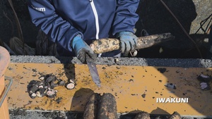 Lotus Root Farm Visit, Yamaguchi, Japan 2026