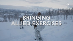 This is Arctic Sentry (master)