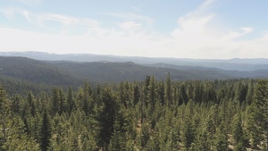 Aerial View of Forested Landscape near Armstrong Hill