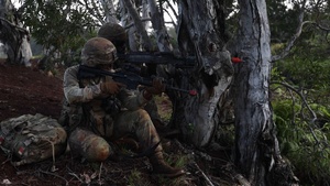 3-7 FA Conducts Operation Sky Bulls