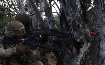 3-7 FA Conducts Operation Sky Bulls