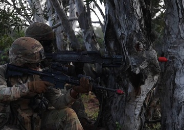 3-7 FA Conducts Operation Sky Bulls