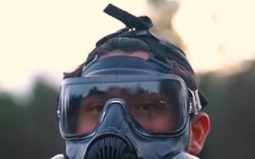 You Will Never Fight Alone